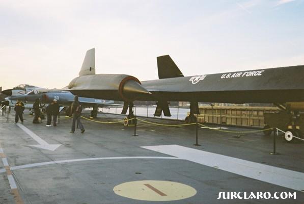 blackbird