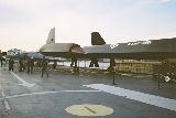 blackbird