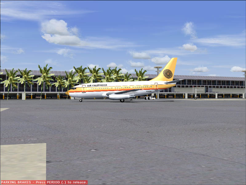 Sunny Hawaii