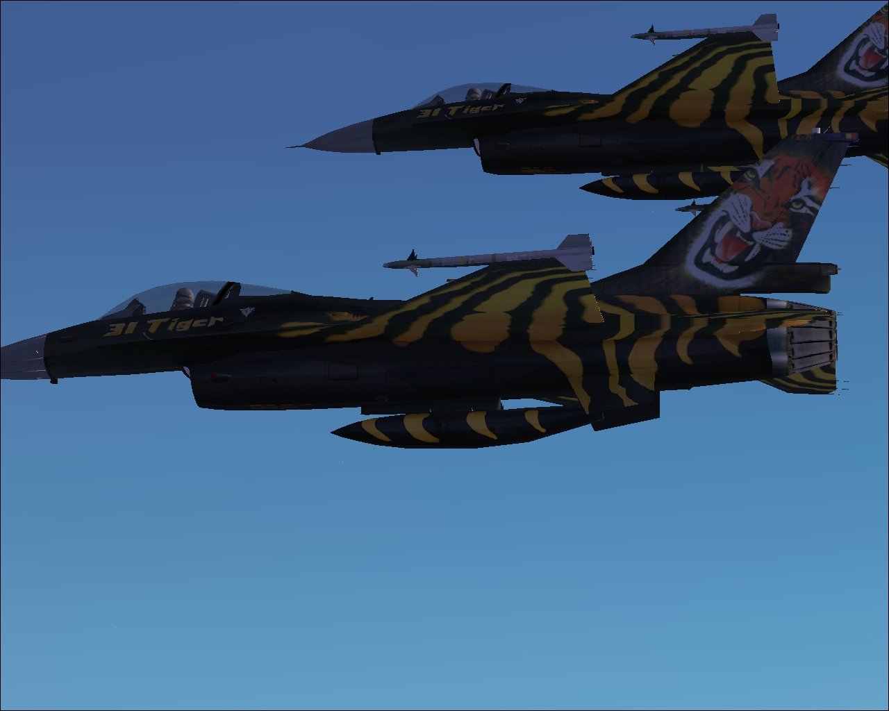 Tigermeet