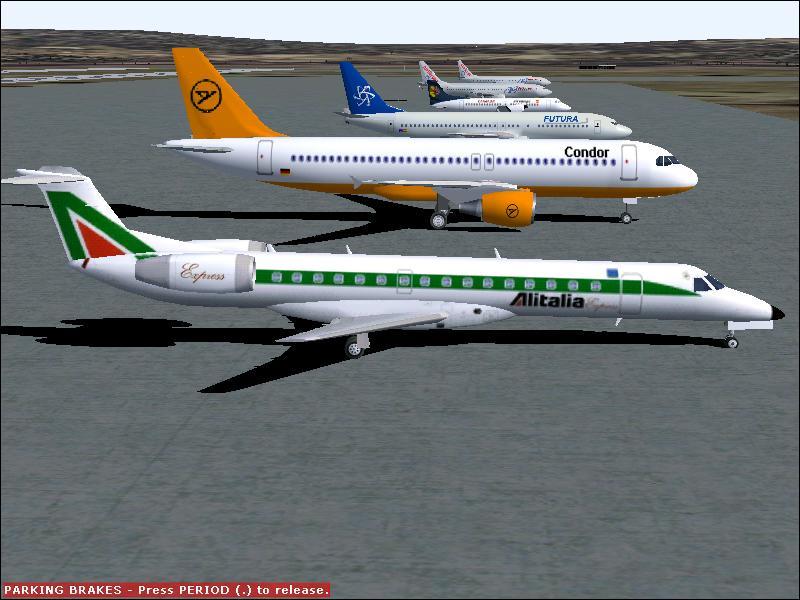 palma1