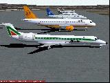 palma1