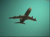 Aeroflot 3