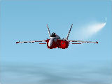 Canadian SnowBird