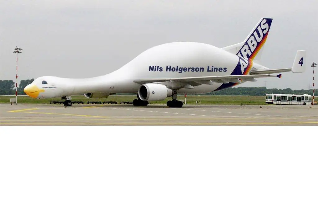 swan plane