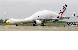swan plane