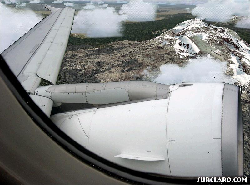 wing-A319