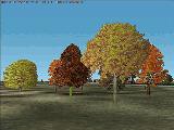 Fs2002 Version 2 Deciduous Tree Macros