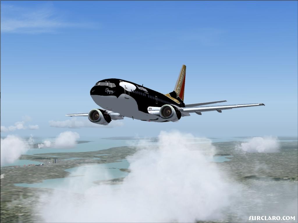 Southwest Shamu 737