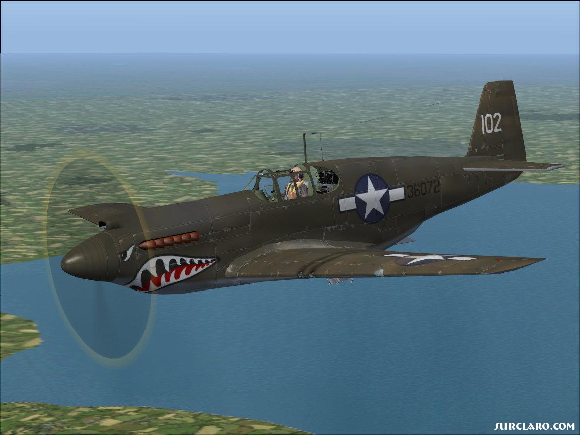 P51A