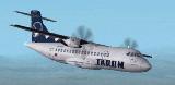 Fs2002 Tarom Atr 42-500 Textures Exclusively For Francisco Sanchez- Castaners Atr 42-500 — 1