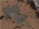 Thank You For Downloading My Version 3.5 Of Kphx Sky Harbor International Airport Scnenery — 1