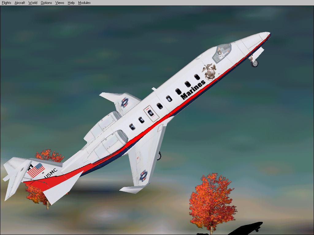 Fs2002 Us Marine Corps Learjet 45 — 1
