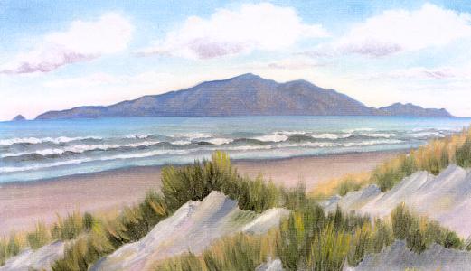Fs2002 Scenery - Kapiti Island, New Zealand Developed By Greg Bishop & Modified For Fs2002 — 1