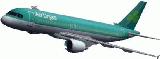 Fs2004 Fsag Aer Lingus Airbus A320-200 Ai Installer — 1