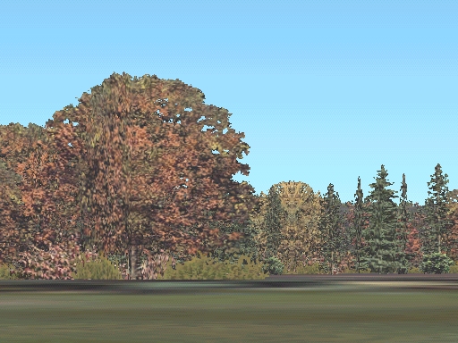 Replacement Autogen Tree Textures (Third Alternative Version) Fs2002 Scenery — 1