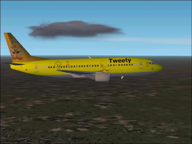 Fs2002 Boeing 737-330 With Tweety Texture By Stefan Kaatz — 1