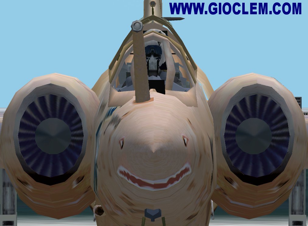 Fs2002 Buccaneer_ 2.0 New Texure, Smoke, Light And Model Of The Famous Bananaa Jet — 1