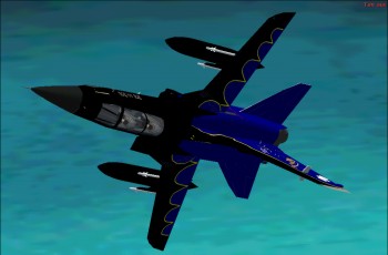 Fs2002 German Airforce Tornado A German Tornado In Two Different Special Colors Of The Jab — 1