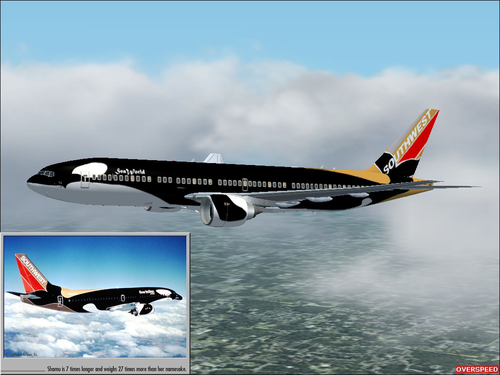 Flight Sim 2002