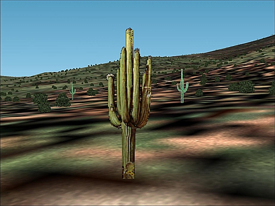 Fs2002 Scenery, Saguaro National Park East