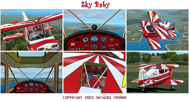 Fs2002 Sky Baby Sky Baby, The Worlds Smallest Homebuilt Staggered Wing Biplane In Usa In 1