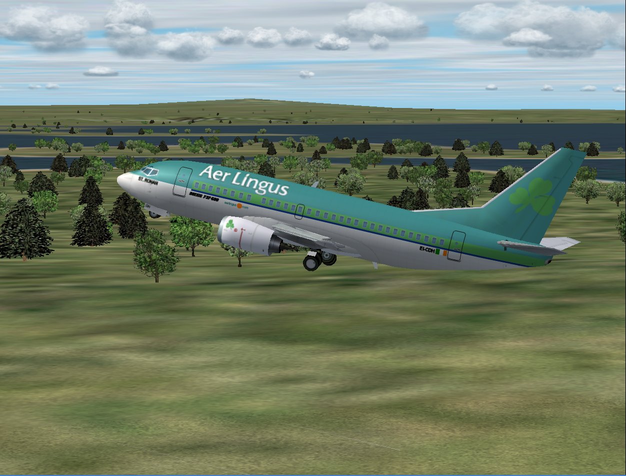 Ai Aardvark Boeing 737-500 In Aer Lingus Livery, Registration Ei-Cdh St