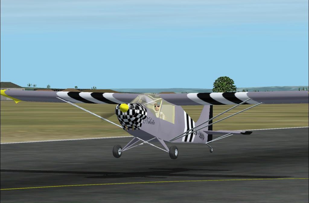 Supapup Mkiv For Fs2002 An Australian Designed Homebuilt Sports Aircraft.this Model Has A