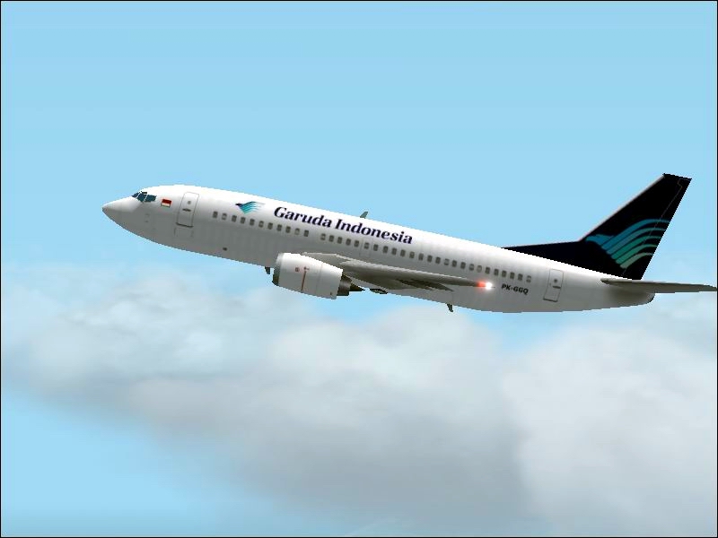 This Is My Textures Repaint Of Ai Aardvark 737-300