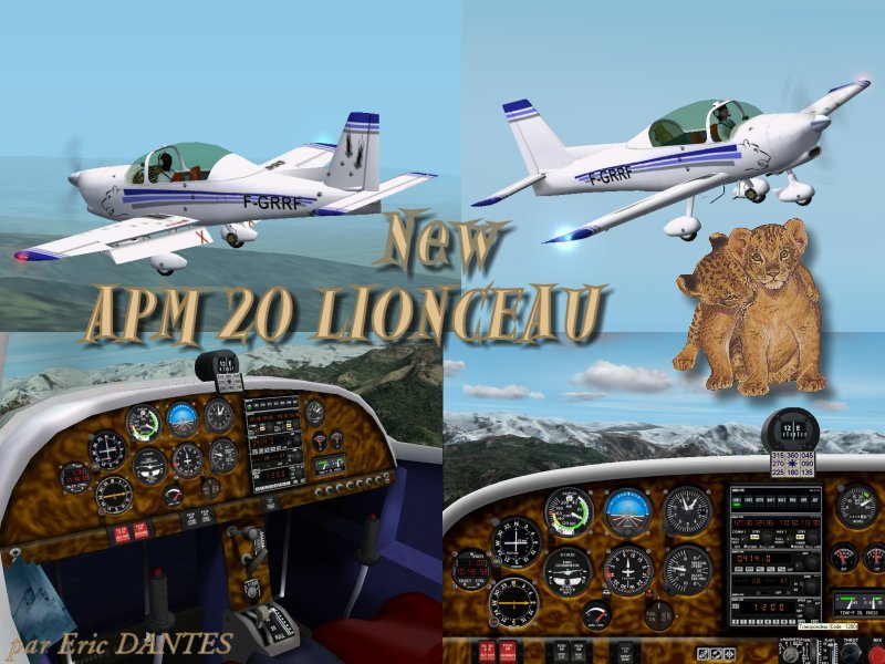 Amp 20 Lionceau Fs2002 By Eric Dantès