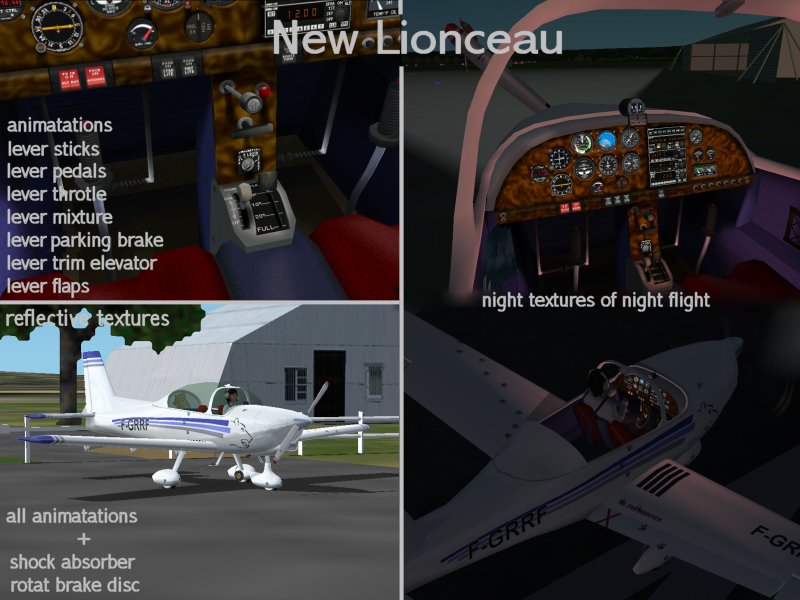 Amp 20 Lionceau Fs2002 By Eric Dantès