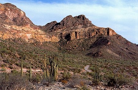 Fs2004 Organ Pipe Cactus National Monument, Arizona - Srtm30_1Arcsec Terrain Mesh Author: