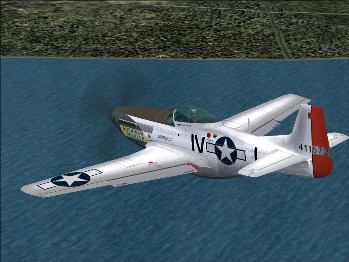 Fs 2004 (Fs 9) P-51D Texture Michigan Mauler To Be Used With The Fine Reno Racers By Roger