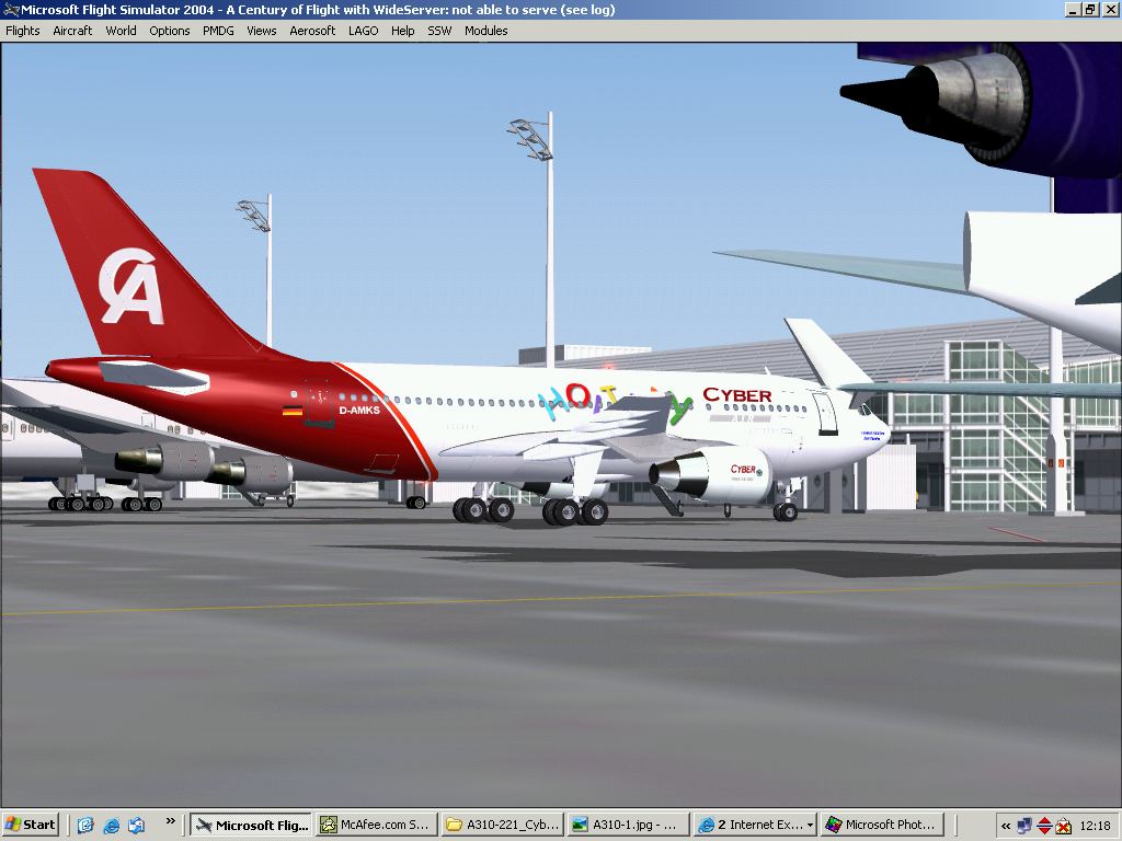 Harald Nehrings A310-203 Repainted In Fictional Cyber Air Holiday Virtual Airline Livery W