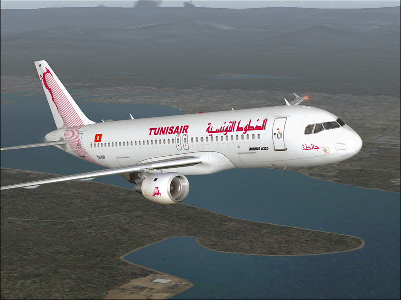 Ifdg Tunis Air A320-200 Model By Albaro Villegas And Ric Barker