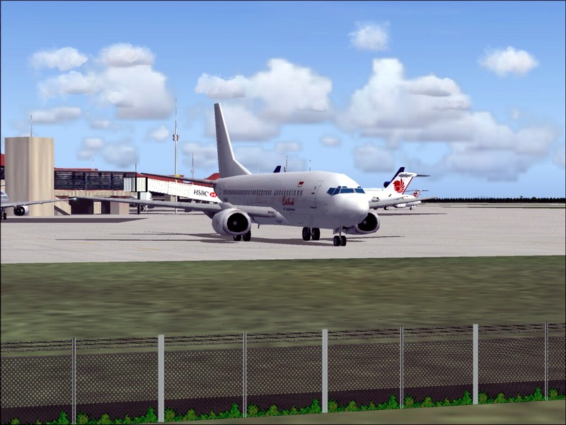 This Is My Repaint Of Ai Aardvark 737-300
