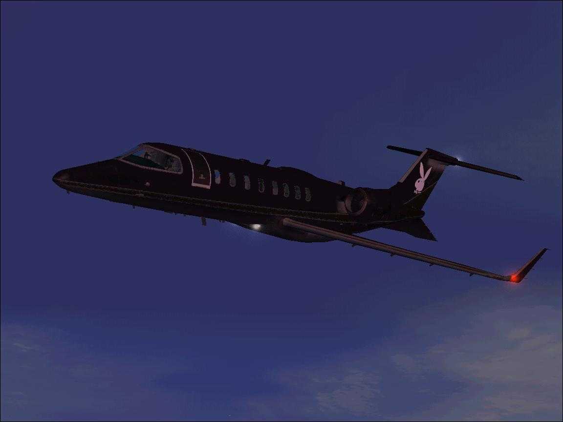 Fs2004 Playboy Learjet Textures Only