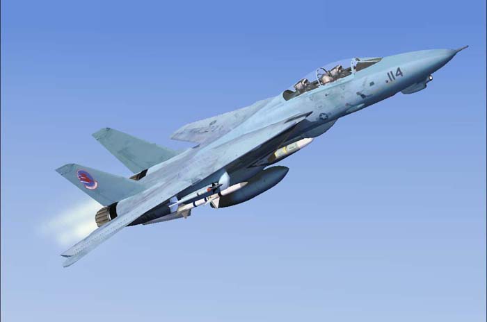 Fs2004 Grumman F-14A Top Gun Tomcats
