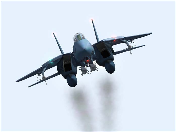 Fs2004 Grumman F-14A Top Gun Tomcats