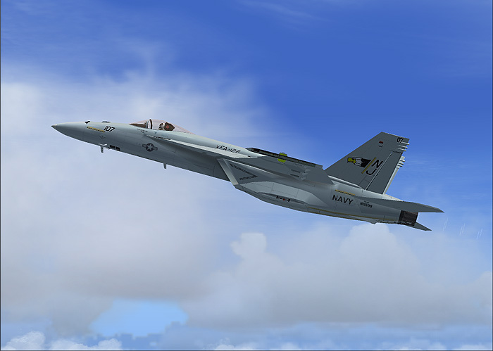 Fs2004 F/A-18E Super Hornet, Flying Eagles This Paint Was Made From The Original Flying Ea