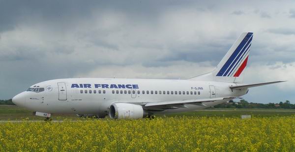 Fs2004 Ffx Boeing 737-500 Air France