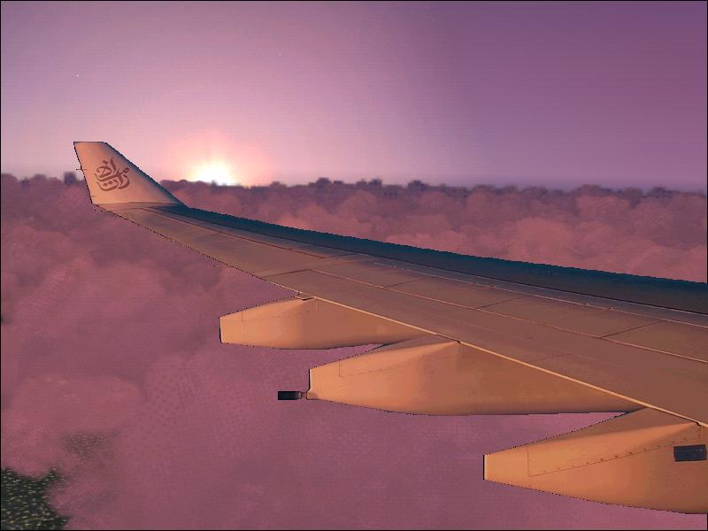 Wing Views Bundle For Flightsim Fs2004/Fs9, Includes 7 Wing Views: Emirates A330-300, Ryan