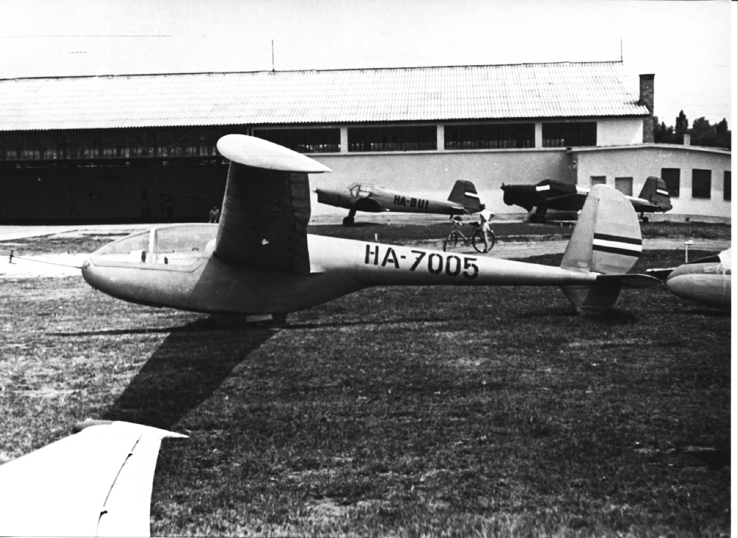 Fs2000 Gyor-2 Sailplane