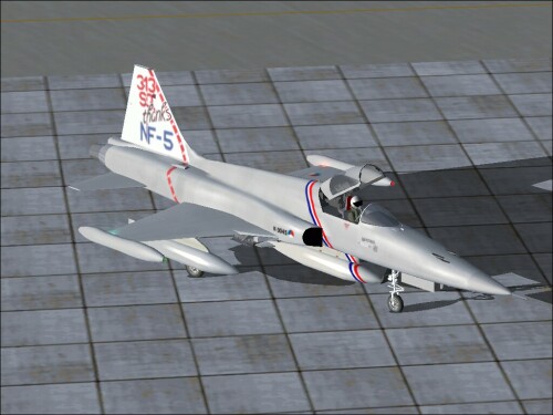 Fs2004 Dsb Texture Exclusively For The Dutch Nf-5A K-3045 In Aanvalle Demo 1988 This Nf-5A — 1