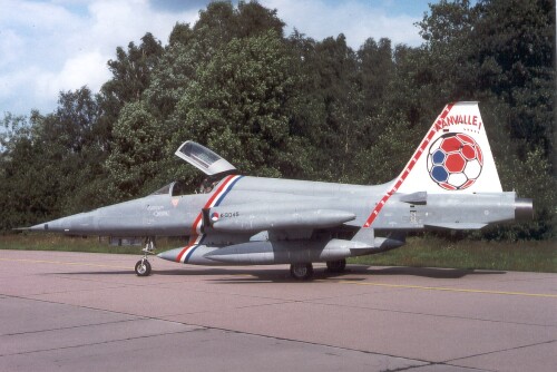 Fs2004 Dsb Texture Exclusively For The Dutch Nf-5A K-3045 In Aanvalle Demo 1988 This Nf-5A