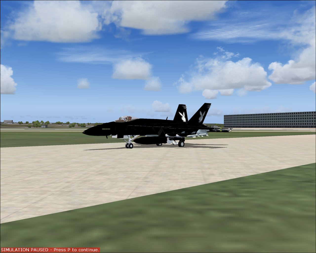 These Are An Renovated Air File And Vandy-One Textures For The Mcdonnell-Douglas F/A-18E S