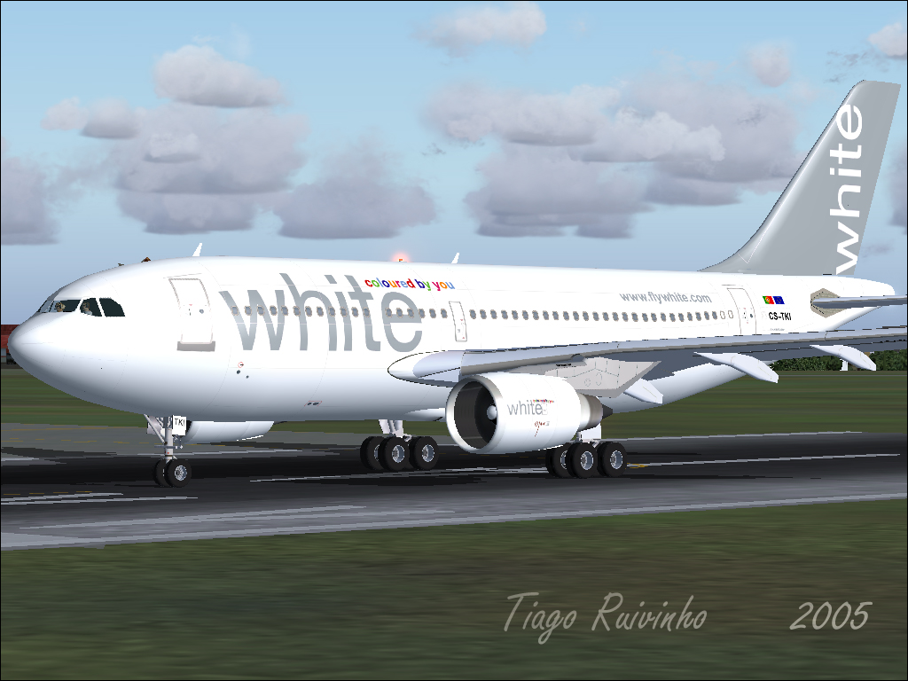 Airbus A310-304 White - Coloured By You Fs2002/2004 June, 2005 -Description: The A310 Cs-T