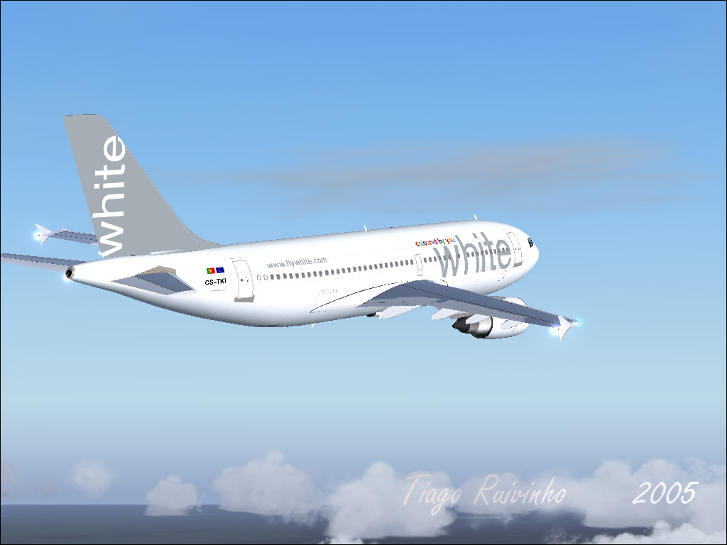 Airbus A310-304 White - Coloured By You Fs2002/2004 June, 2005 -Description: The A310 Cs-T