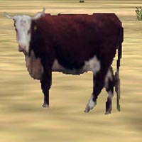 Livestock By Heath Wells - A Rwy12 Object Placer Library For Flight Simulator 2004 Only