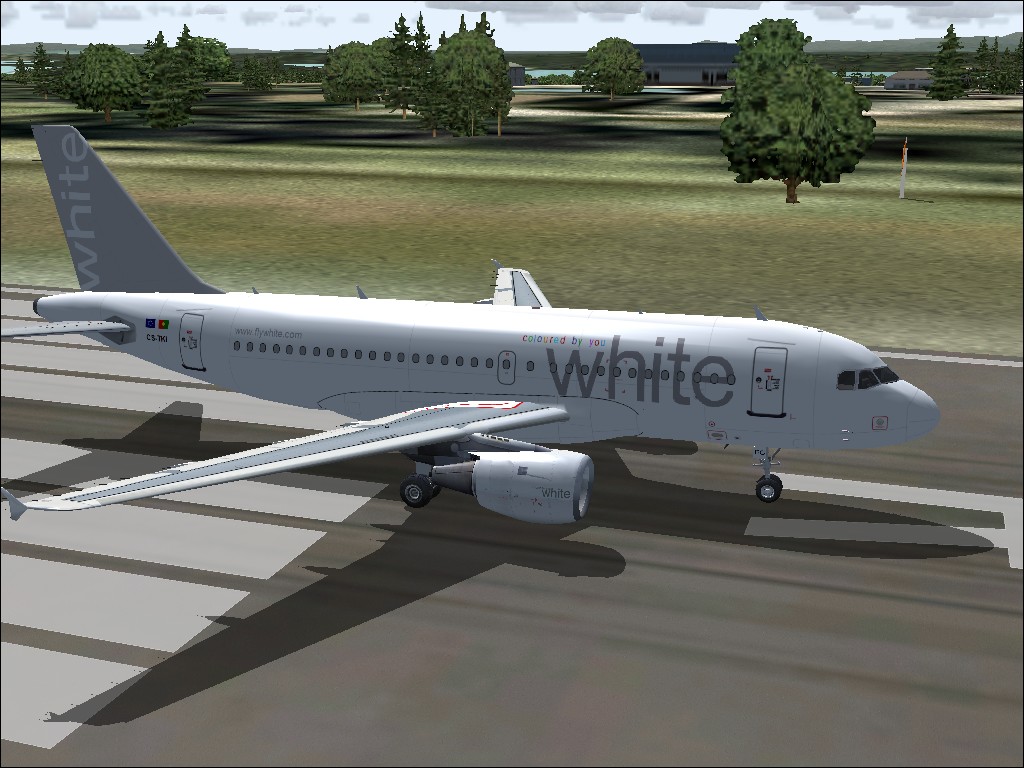 Fs2004 Ifdg A 319 White Airlines Package